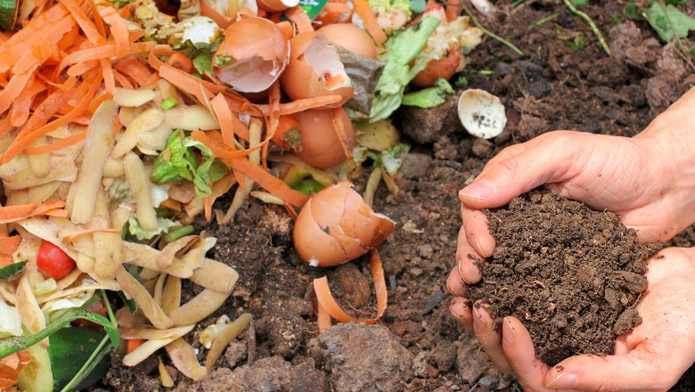 Exemplo de serviço Resíduos e Compostagem